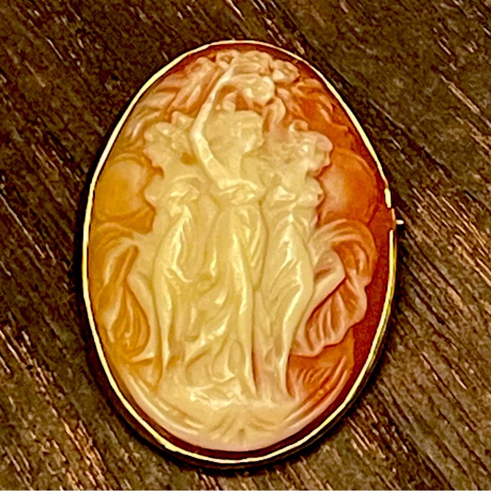 Elegant Cameo Brooch or Pendant